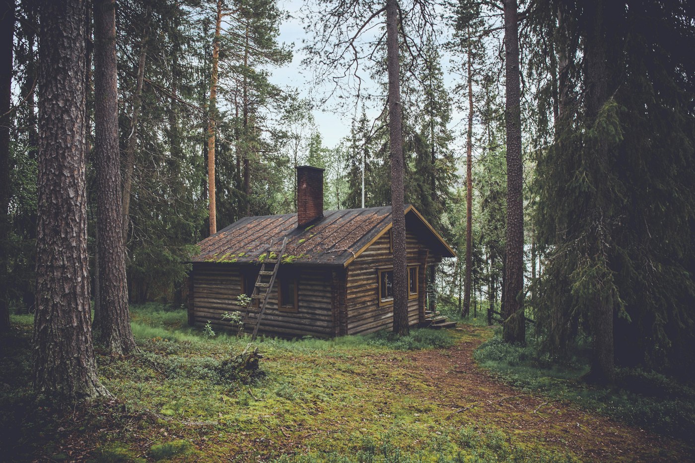 Laurel & Fern — cabin style inspiration for London, Kentucky
